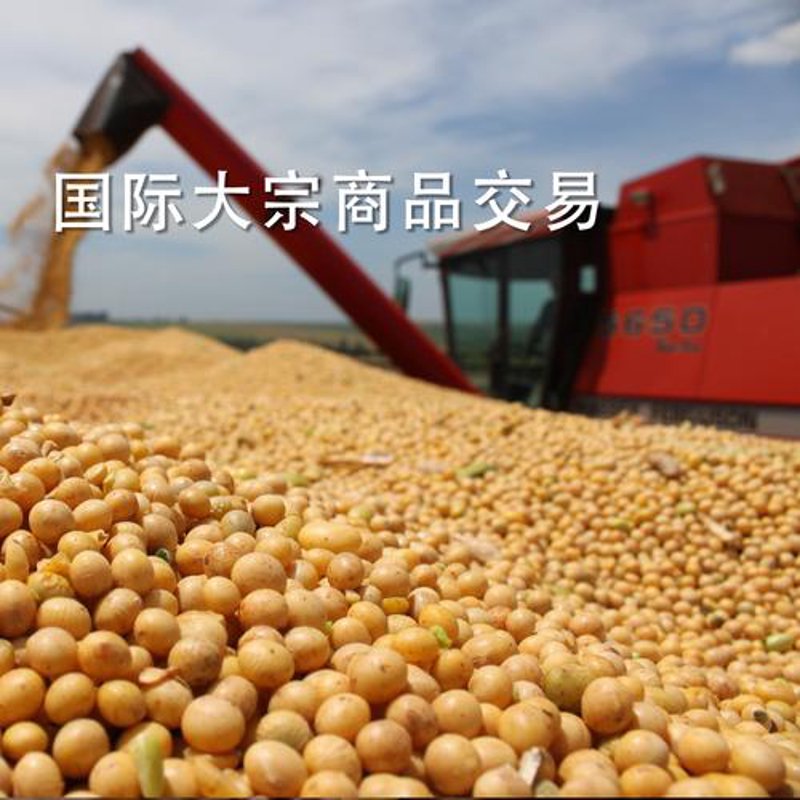 山西贸易公司的最新发展动态